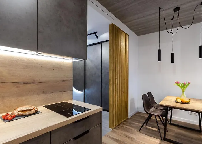 Center Sanctuary Modern Business-class With Free Parking In The Heart Of * 빌뉴스