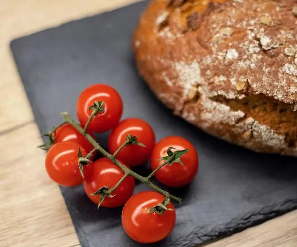 Apartament Center Sanctuary Modern Business-class With Free Parking In The Heart Of *