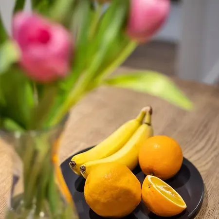 Appartement Center Sanctuary Modern Business-class With Free Parking In The Heart Of Vilnius